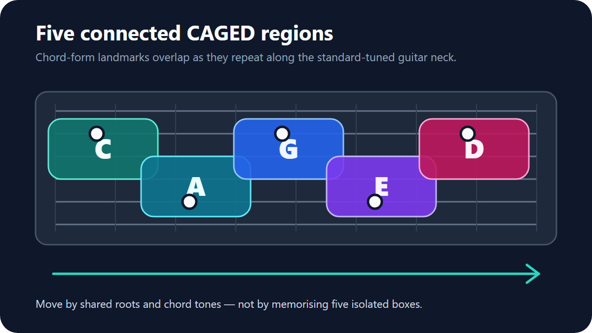 A guitar neck map showing overlapping C, A, G, E and D shape regions